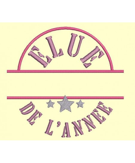 Elu / Elue de l'année à personnaliser - 4 tailles Elu / Elue de l'année à personnaliser - 4 tailles