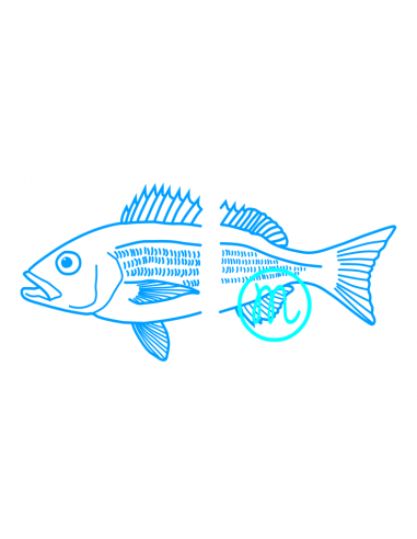 Poisson en 2 parties (découpe)