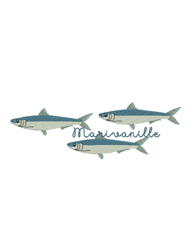 Sardines