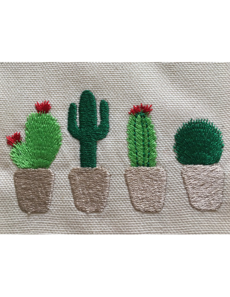 Cactus