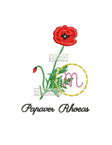 Herbier coquelicot
