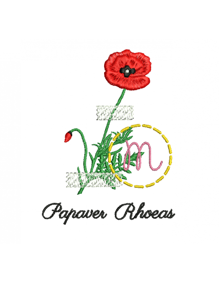 Herbier coquelicot