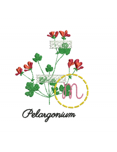 Herbier géranium