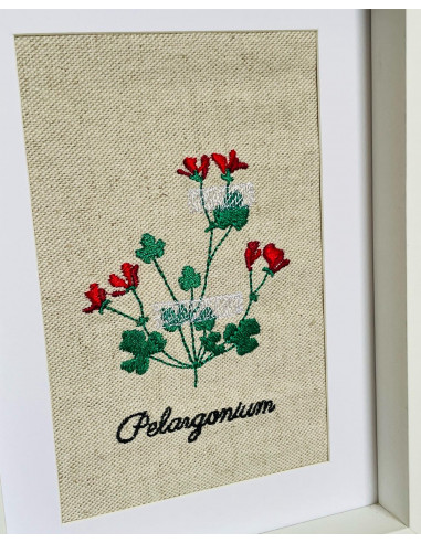 Herbier géranium