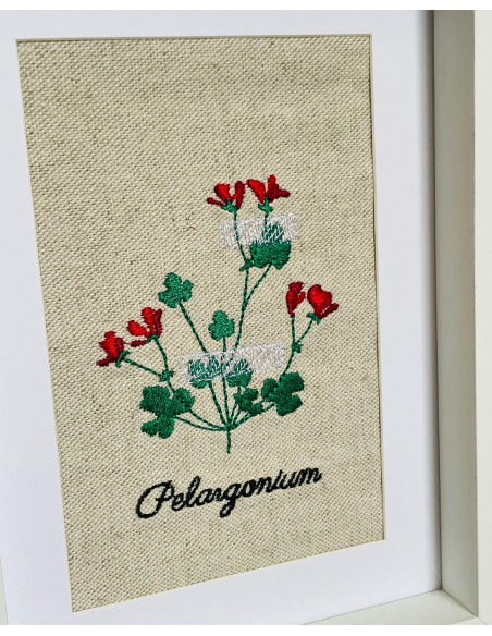 Herbier géranium