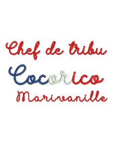 Chef de tribu, cocorico