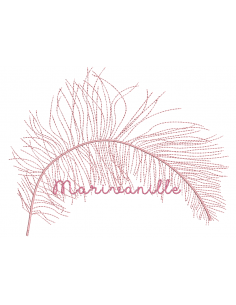 Grandes plumes - 2 formats