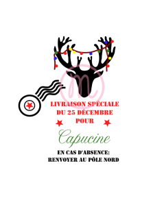 Sac pour les cadeaux de...