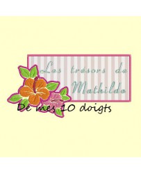 Hibiscus - cadre ou non