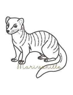 Mangouste - Rikki - 3 tailles