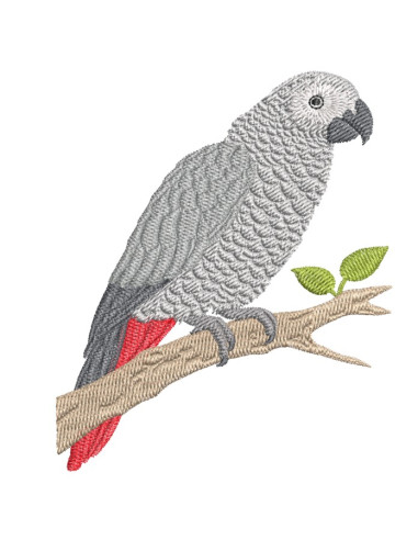 CP429