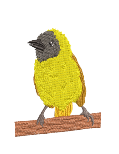 CP448